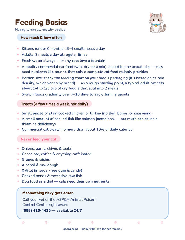 Feeding Basics page